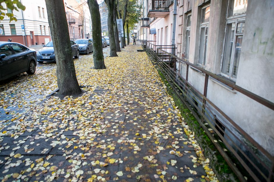 Rudeniniai lapai nuklojo Kauną