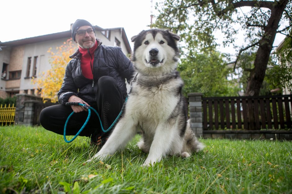 Žaliakalnyje toliau įžūliai naikinamas paveldo namas