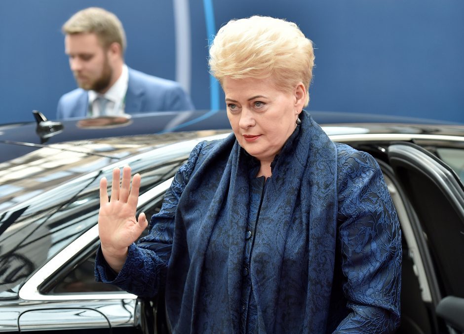Artėjantys prezidento rinkimai vyks D. Grybauskaitės šešėlyje