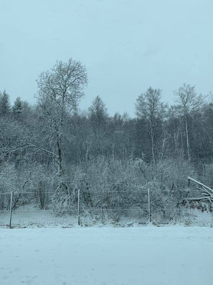 Dėmesio: kelyje Kaunas-Klaipėda – sniegas ir sudėtingos eismo sąlygos