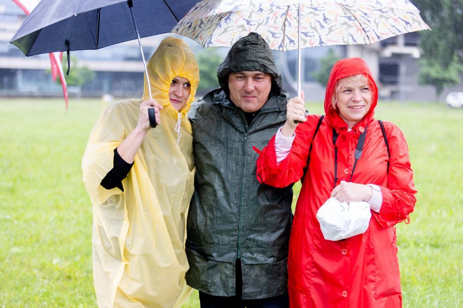 Šeimų sąjūdžio mitinge – ir Seimo nariai: protestuotojai piktinosi valdžios sprendimais