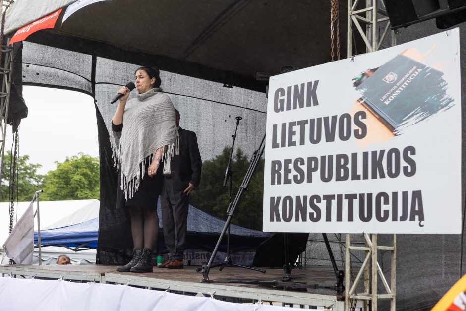 Šeimų sąjūdžio mitinge – ir Seimo nariai: protestuotojai piktinosi valdžios sprendimais