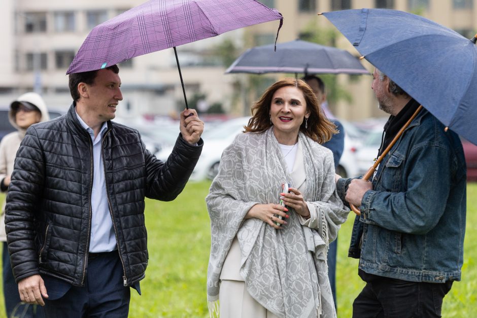 Šeimų sąjūdžio protestas prie Seimo