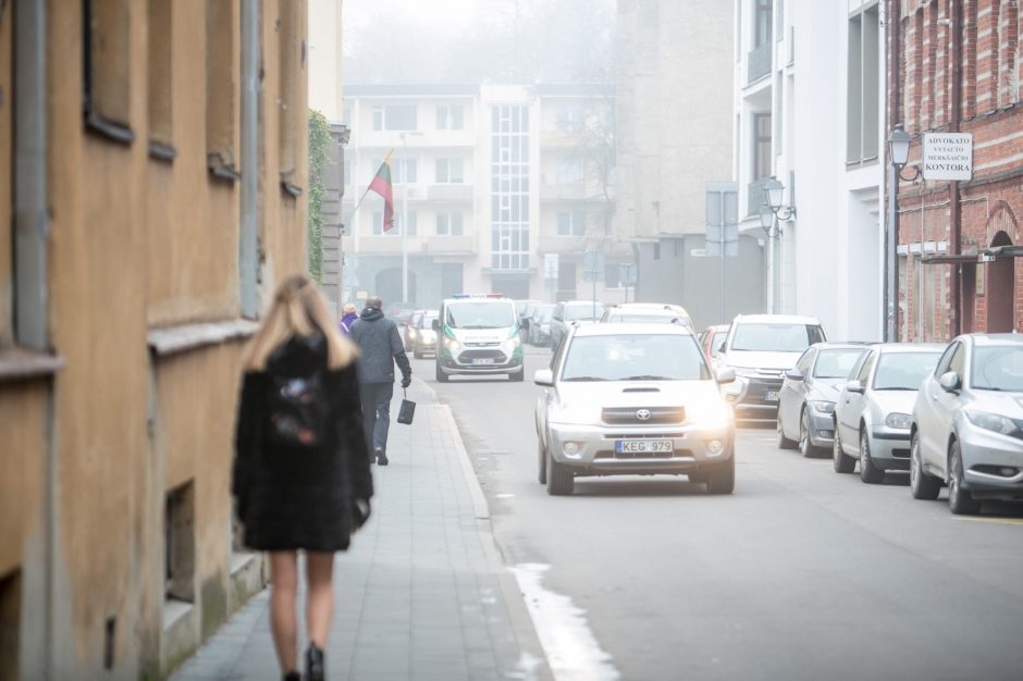 Už grotų liekanti N. Venckienė: aš prie visko pripratusi, iškentėsiu 