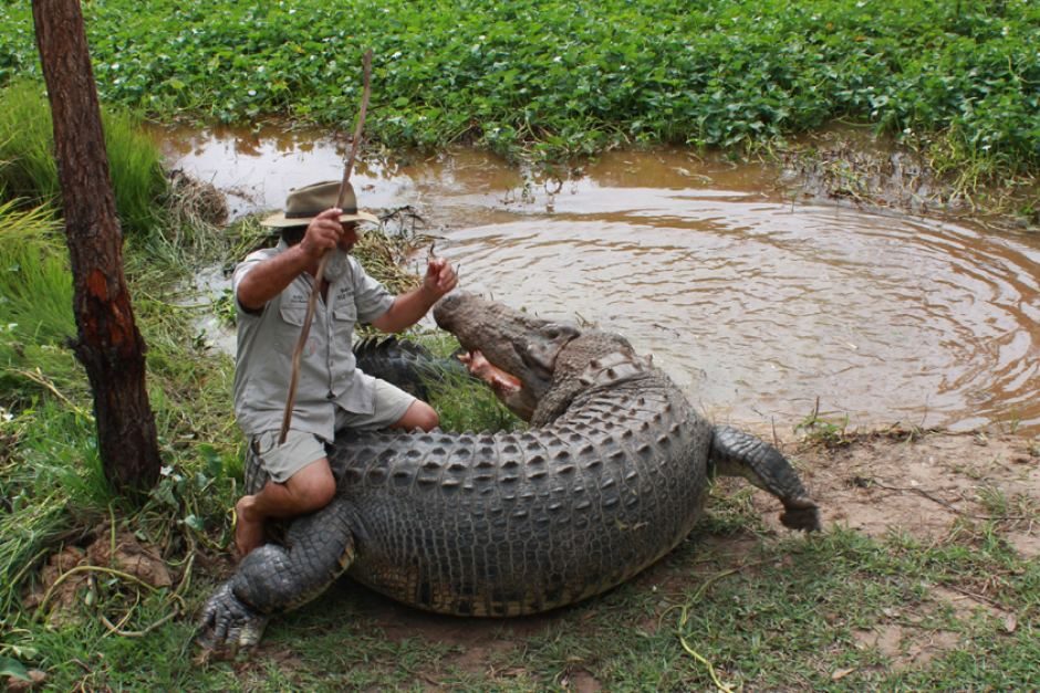 Australijos „Basąjį bušmeną“ rimtai sužalojo krokodilas