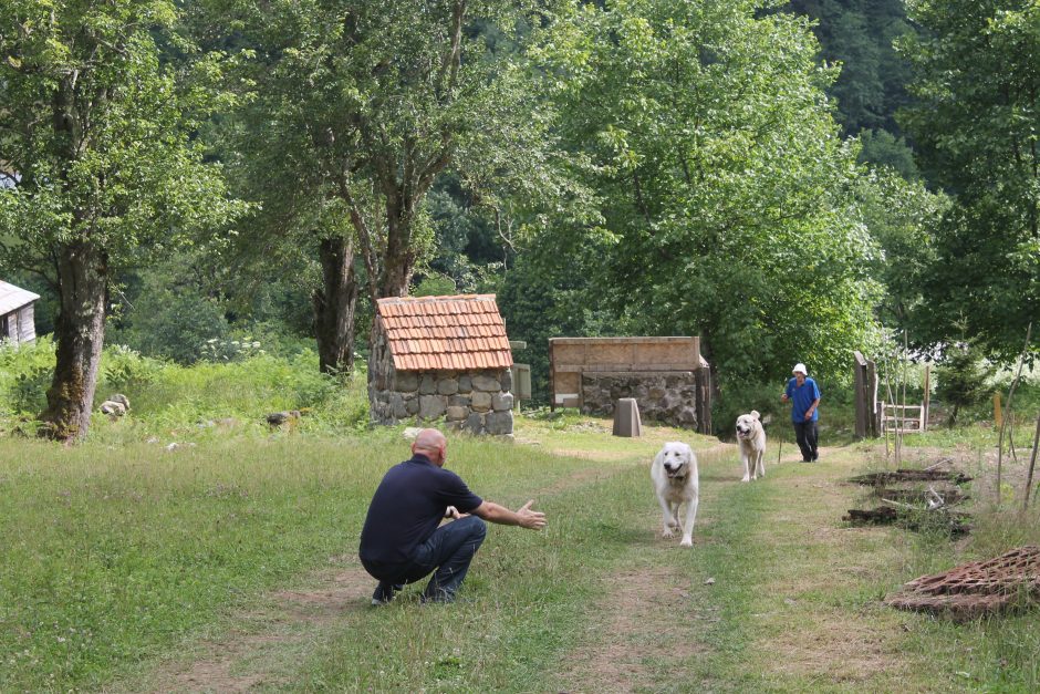 S. Nicharadzė: mūsų namai – jūsų namai