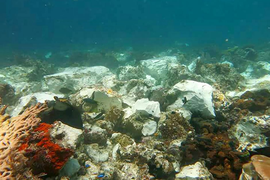 Britų laivas apgadino Indonezijos koralinį rifą
