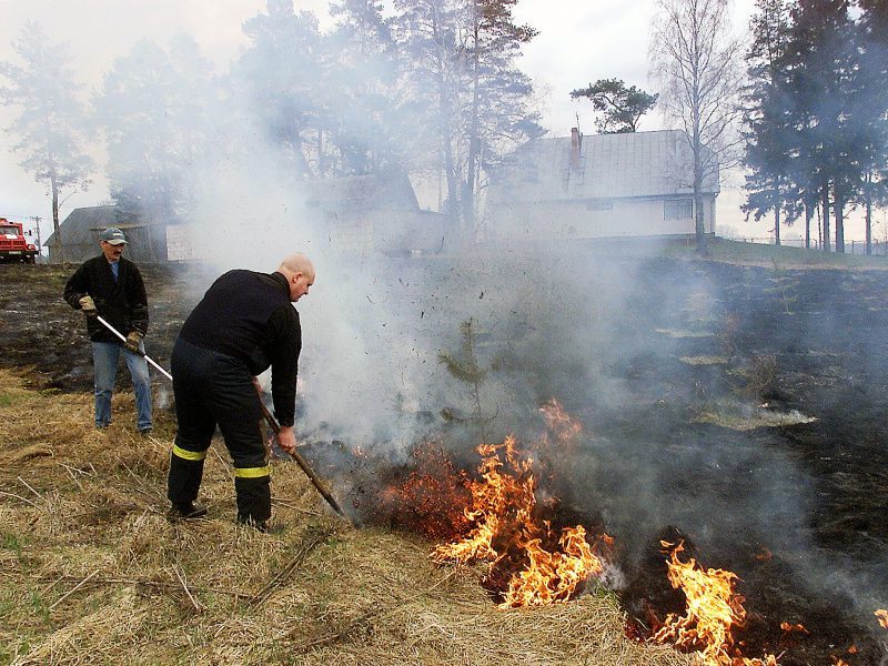 Ugniagesiai pakraupę: žolės gaisrus šį savaitgalį skaičiavo šimtais