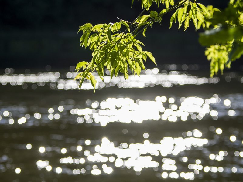 Rokiškio rajone upėje nuskendo 40-metis vyras