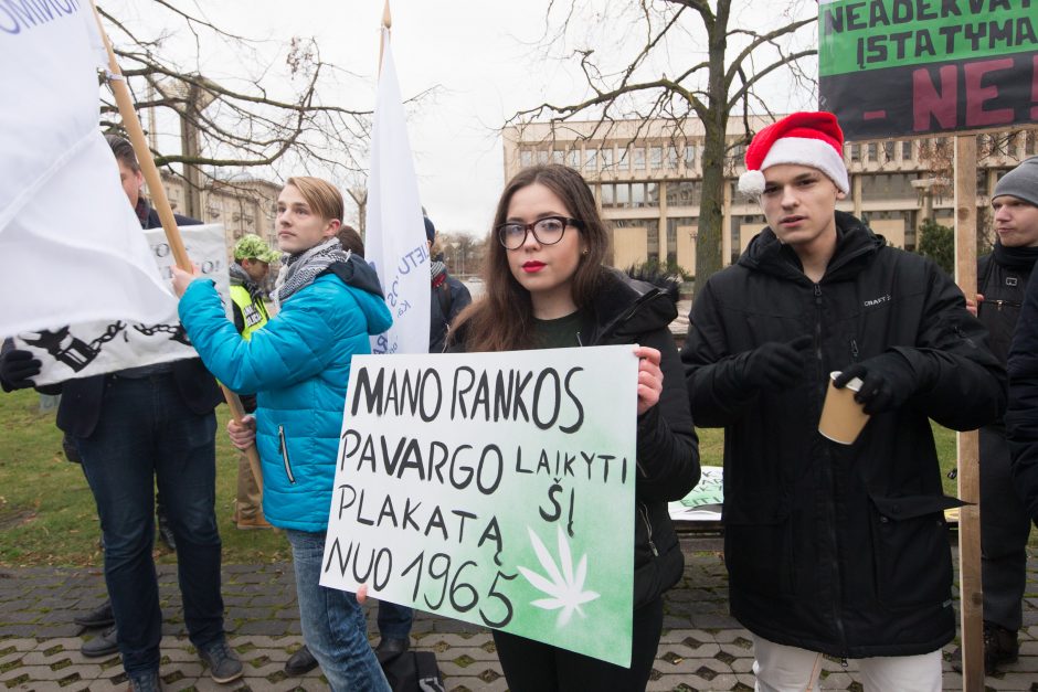 Prie Seimo apie 100 žmonių ragino švelninti bausmes už kanapių turėjimą 
