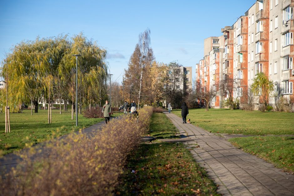 Sportuojantys žmonės Kauno parkuose