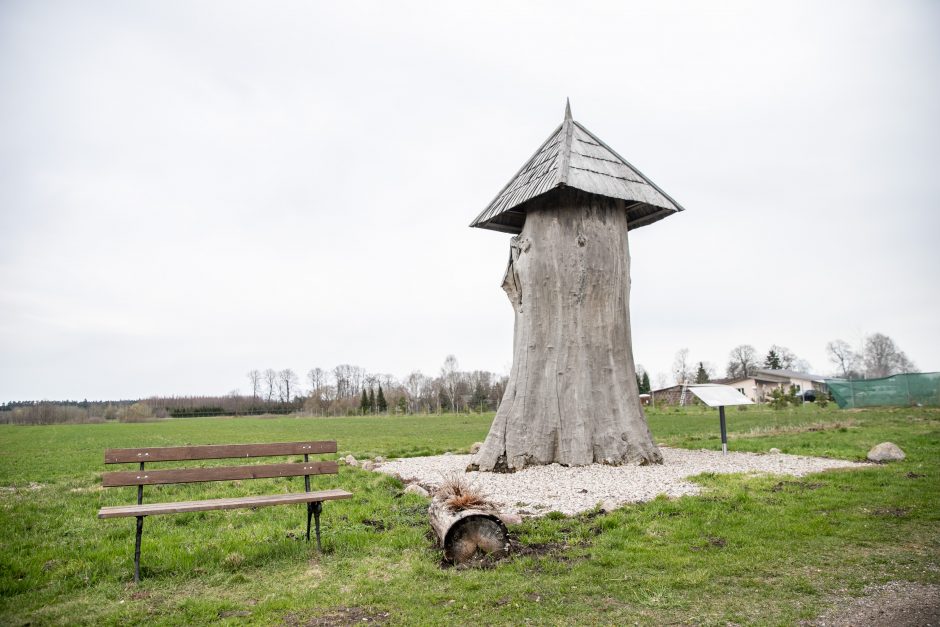 Pakarklės miškas – tikras lobynas: yra sakančių, kad čia Lietuvos Šveicarija