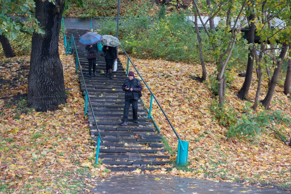 Pėsčiųjų viadukai laukia remonto