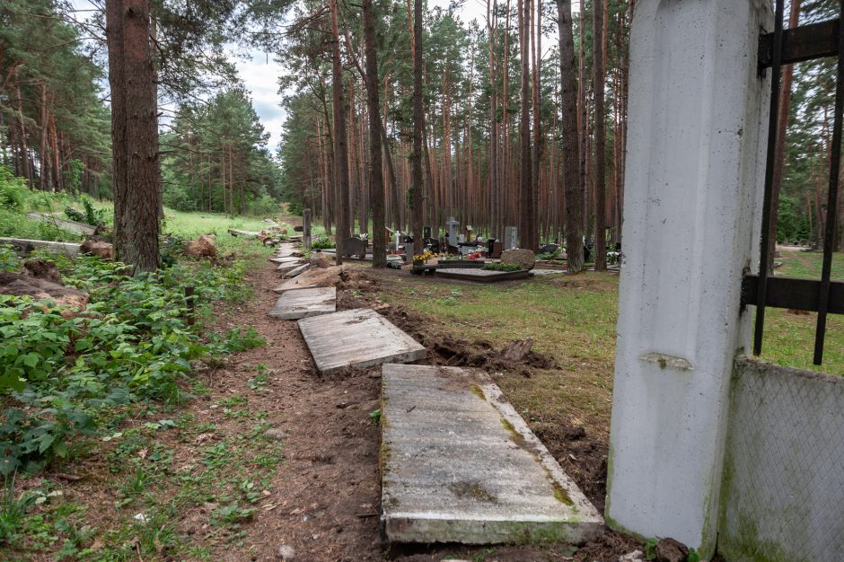 Ilgai planuotos plėtros pradžia: Petrašiūnų kapinėse jau zuja darbininkai