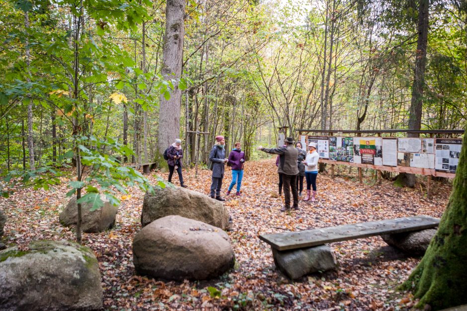 Vilkijos apylinkių miškuose – elnių vestuvių ritualai (vaizdo įrašas)