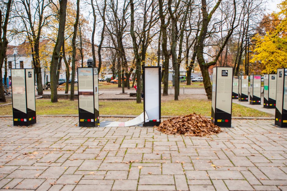 Vandalams užkliuvo šimtmečiui skirta paroda – nuniokojo stendą