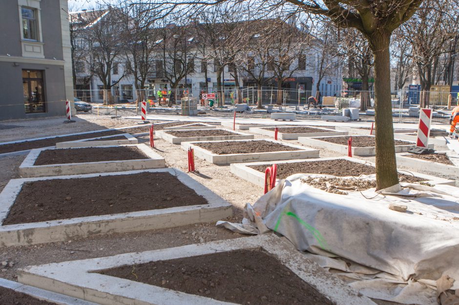 Miesto gėlynai: išbandytas eksperimentas pasiteisino