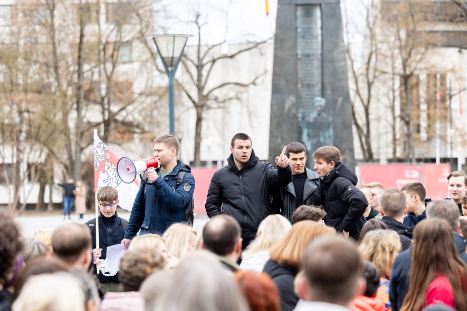 Vilniuje – mitingas tautinių mažumų mokykloms apginti: už integraciją, o ne asimiliaciją