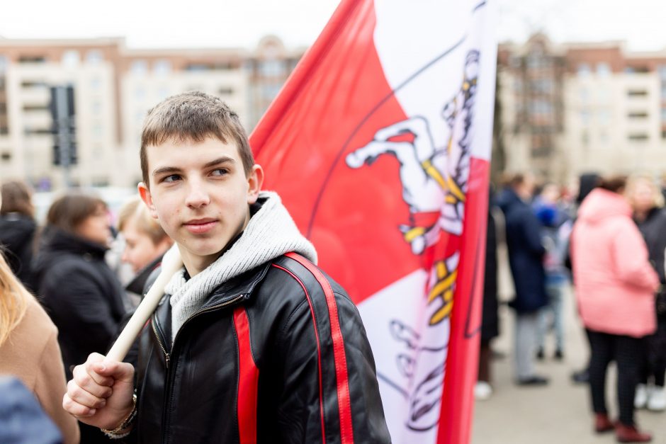 Vilniuje – mitingas tautinių mažumų mokykloms apginti: už integraciją, o ne asimiliaciją