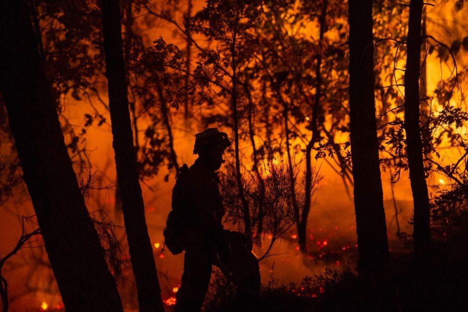Naktinis gaisras Karmėlavoje: išdegė didelis plotas Pilėnų miško