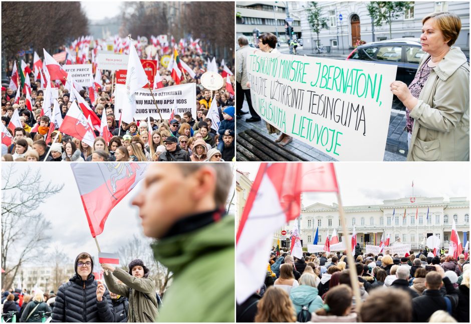 Vilniuje – mitingas tautinių mažumų mokykloms apginti: už integraciją, o ne asimiliaciją