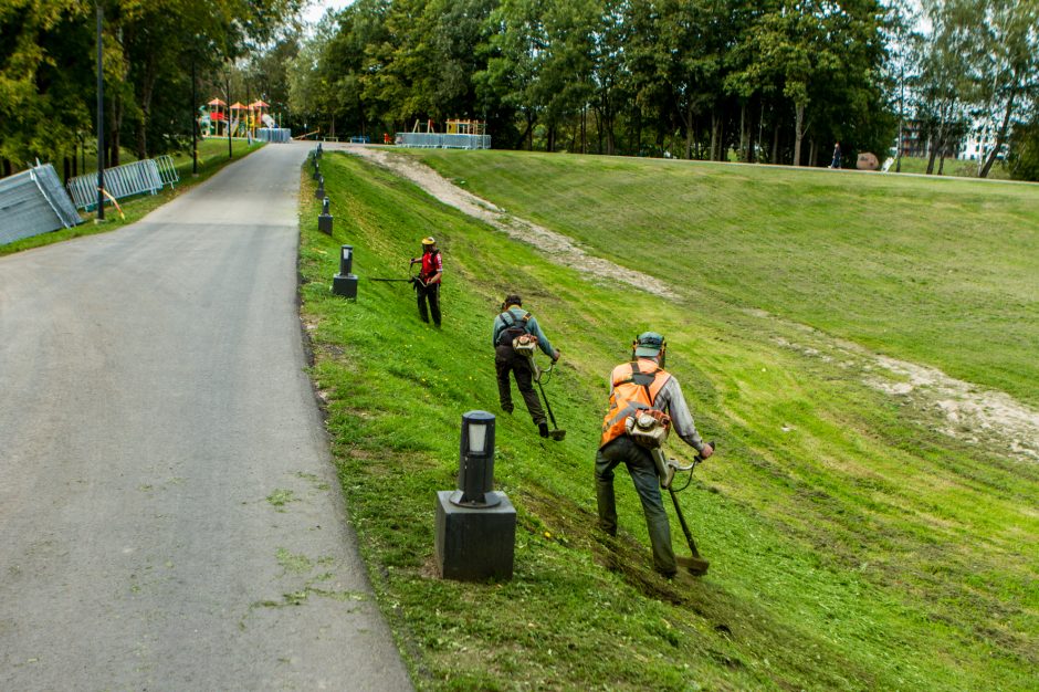 Kaunas ruošiasi popiežiaus atvykimui