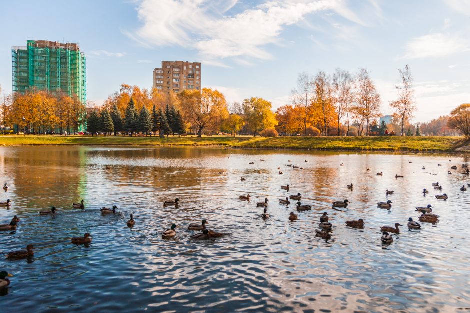 Rudenėjantis Kaunas