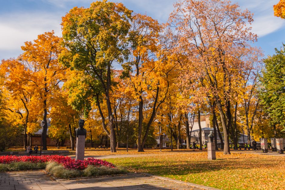 Rudenėjantis Kaunas