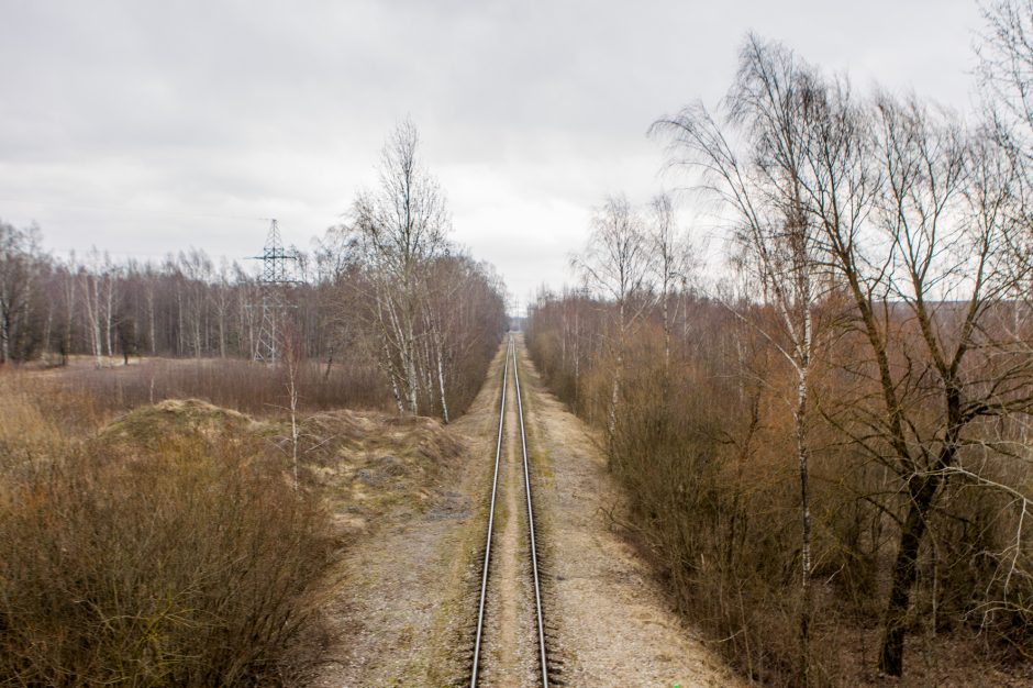 Ateities plento viaduko rekonstrukcija