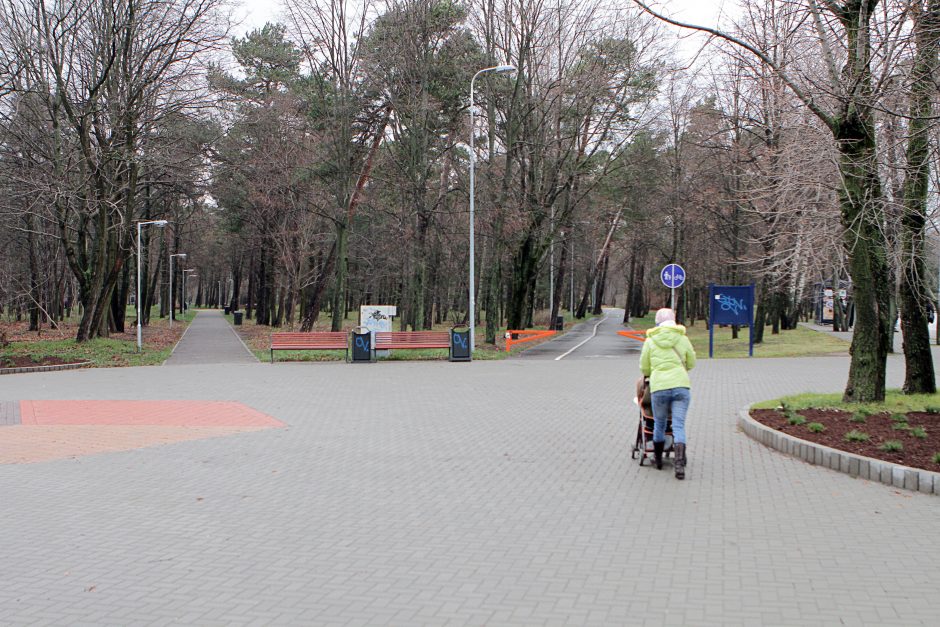 Klaipėdos poilsio parke pareigūnai nutvėrė iškrypėlį