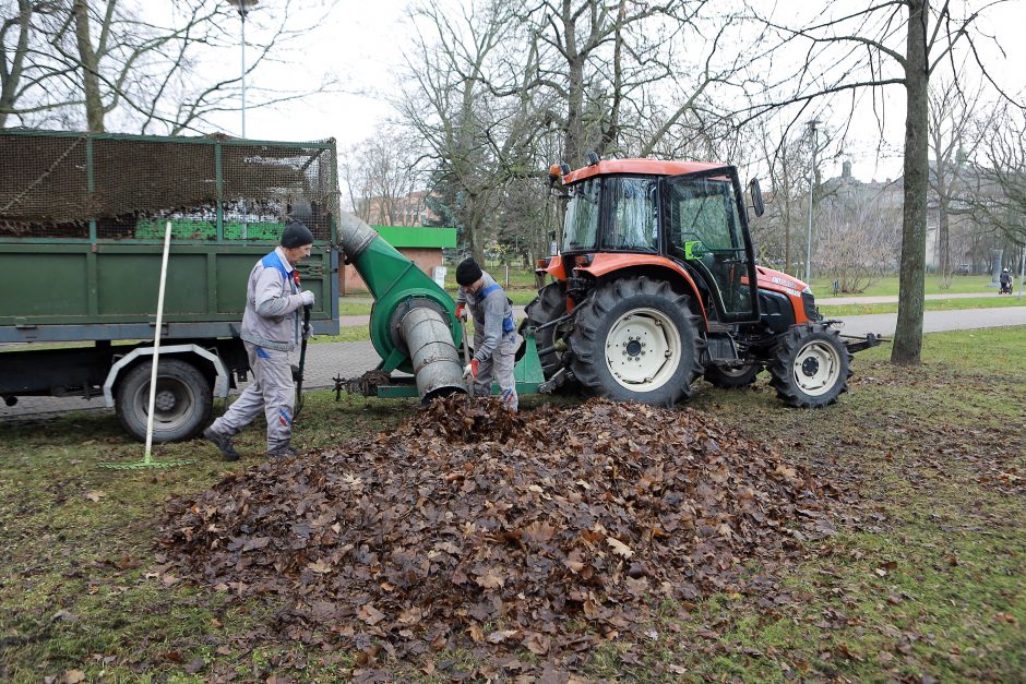 Sutvarkyti lapus Klaipėdoje trukdo orai