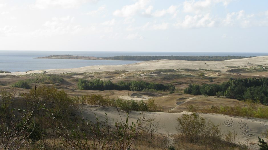 Neringa ruošiasi priimti mažus lėktuvus