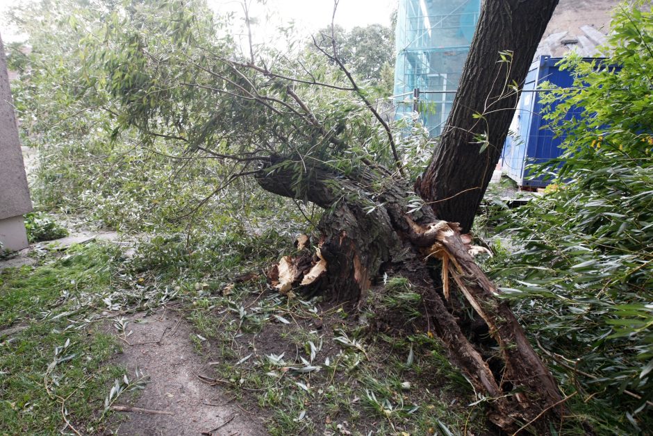 Nevaldoma situacija pajūryje: medžiai virto ant mašinų, vis dar ribojama laivyba