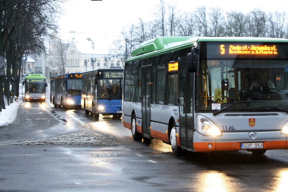 Nemokami autobusai mieste – tik per masines šventes