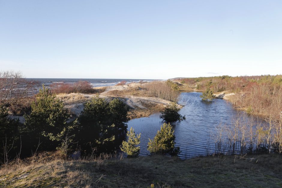 Kopose tyvuliuoja vandens telkinys