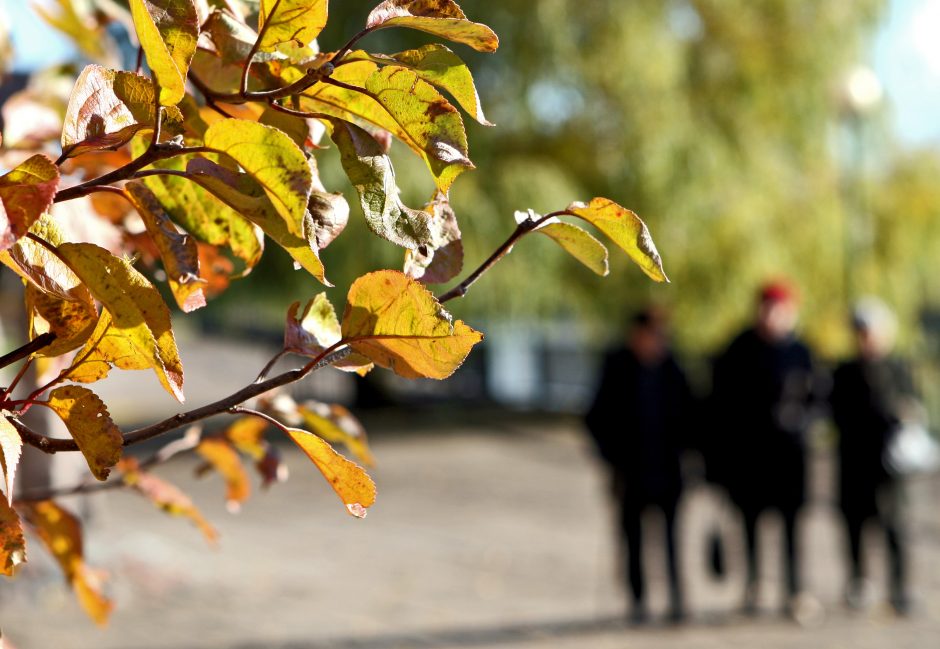 Šilumą pajūryje pakeis lietus