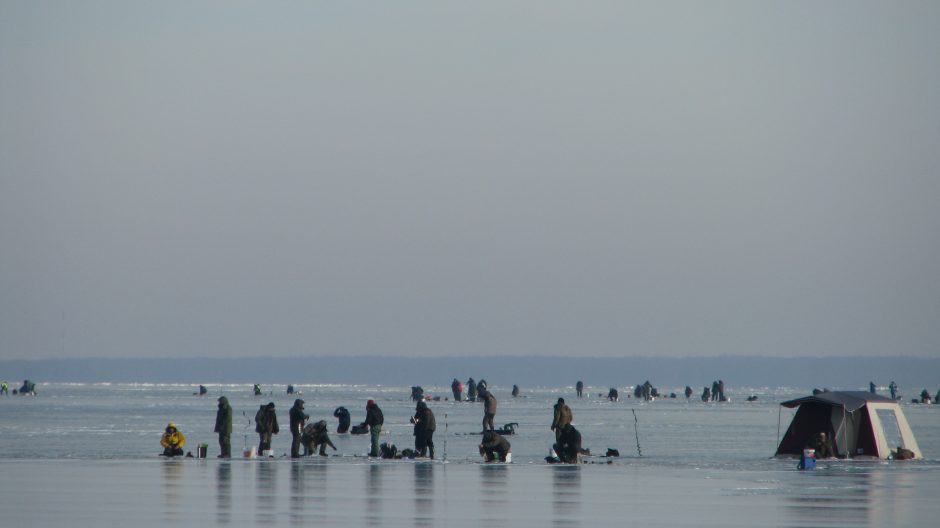 Kuršių marių ledas tampa nesaugus