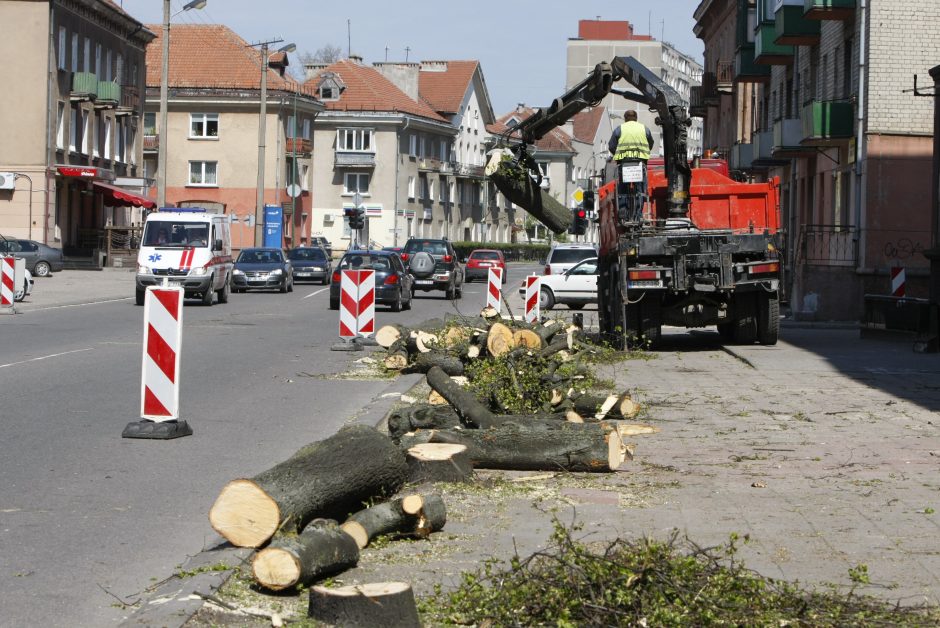 Medžiai išrūksta pro kaminą