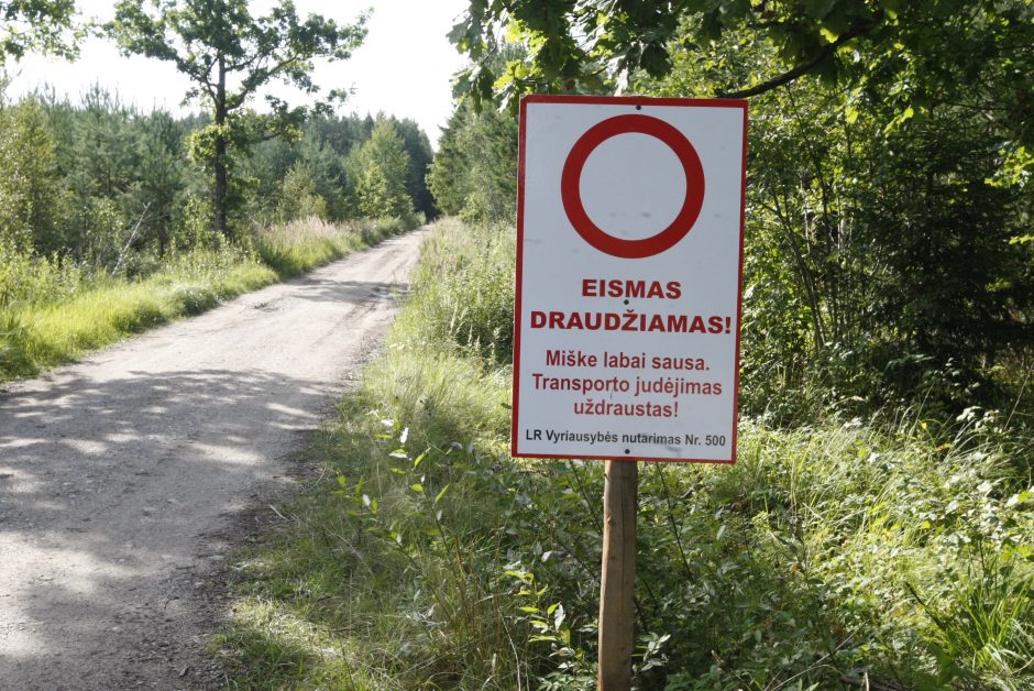 Motorolerio vagis bandė sprukti miško keliu