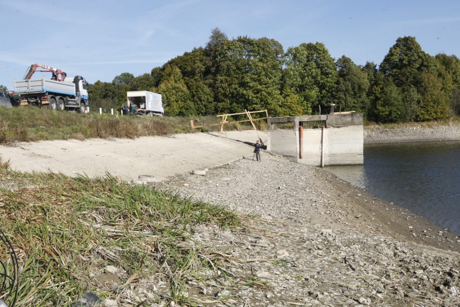 Žmonės patys gelbsti žuvis Laukžemių tvenkinyje