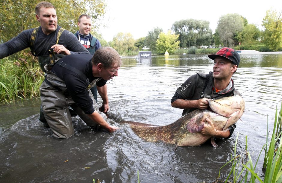 Žuvų gelbėtojai verti nominacijos?