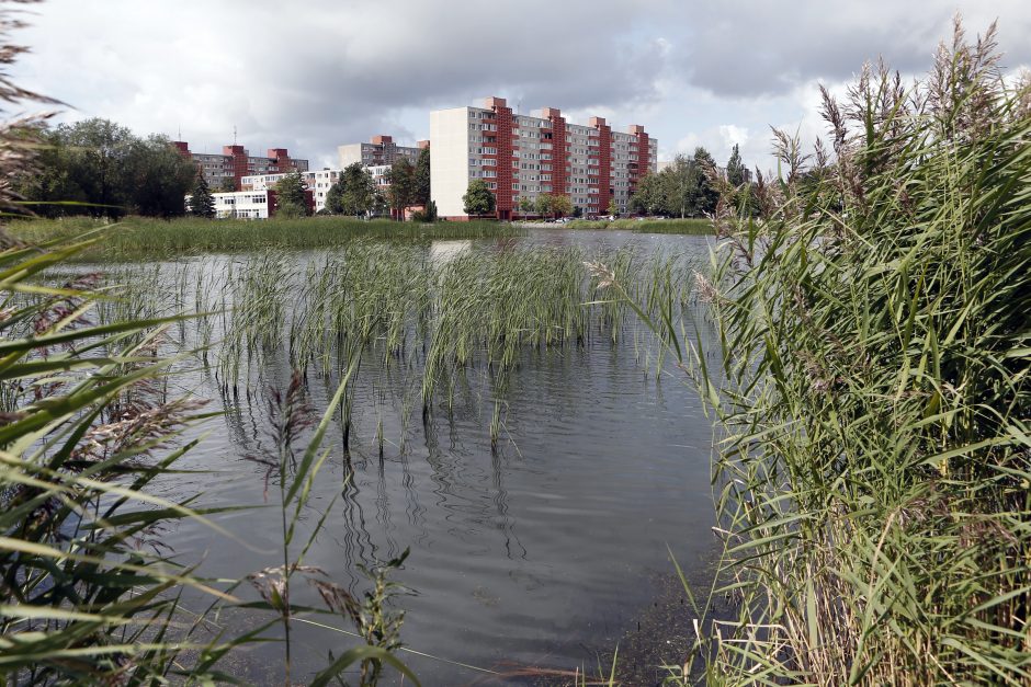 Žardės tvenkinio nepamiršo