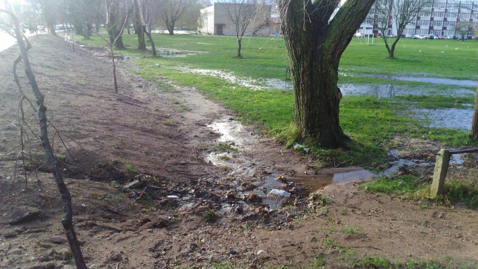 Problemą išsprendė mokinių sąskaita?