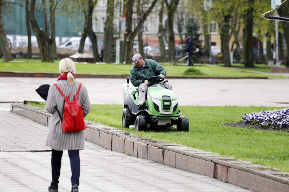 Startavo miesto erdvių šienavimas