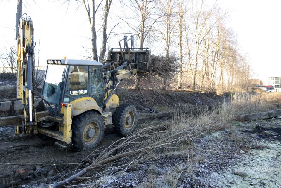 Miesto skauduliai: vieni tvarkosi, kiti – stagnuoja