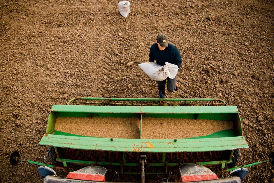 Kada žemdirbiai gali pretenduoti į ES tiesiogines išmokas?