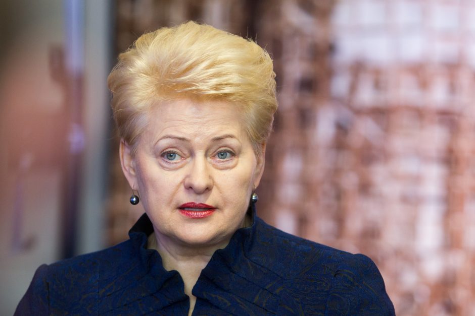 Sulaikė prezidentės D. Grybauskaitės niekintoją