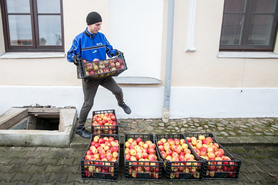 Ką Kauno kunigų seminarijoje veikė pakaunės ūkininkai?