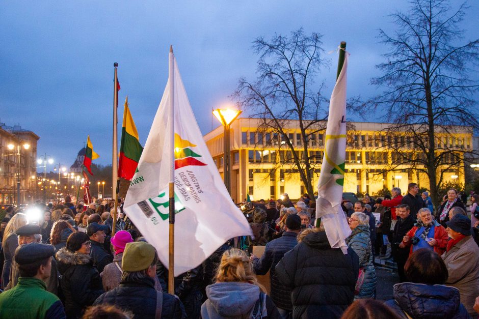 Mitinge prie Seimo reikalaujama stabdyti šeimų ardymą ir vaikų atiminėjimą