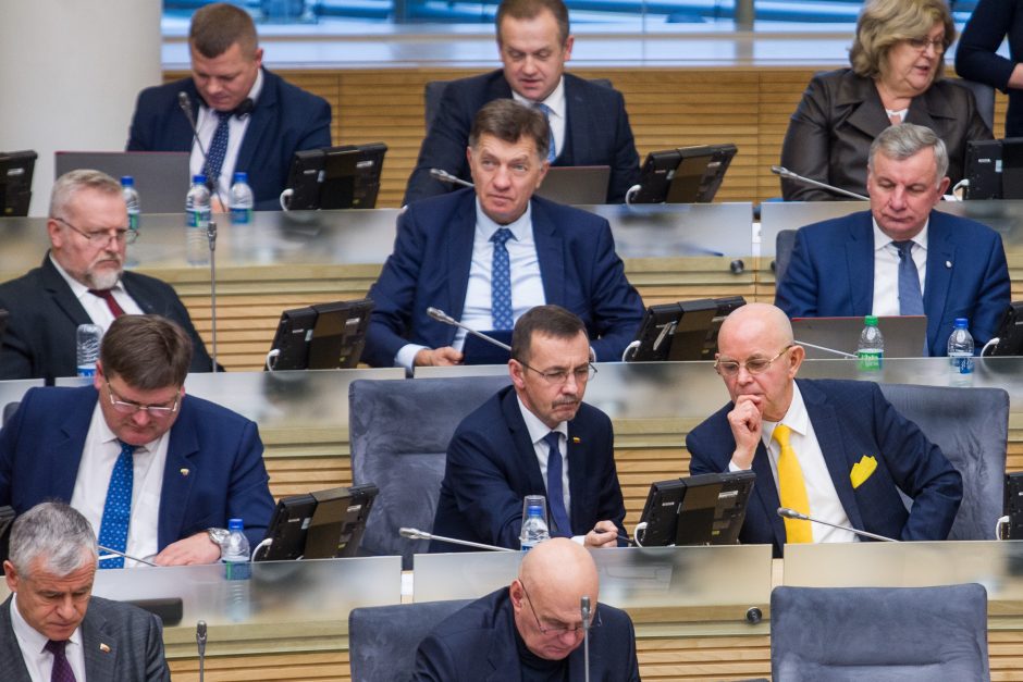 Seimas patvirtino 2019 metų biudžetą